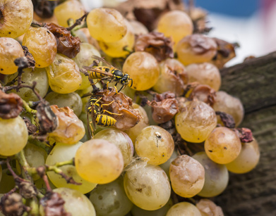 Fotolia 124096727 XS