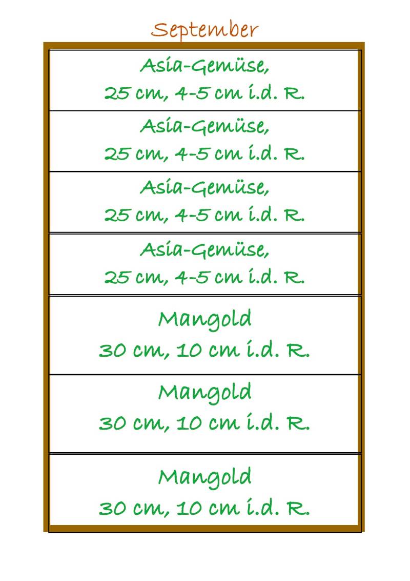 Plan von Asia-Gemüse-Mangold als Nachkultur im Hochbeet