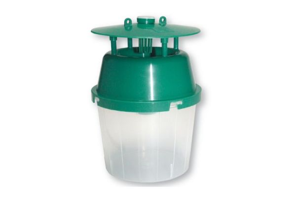 Falle zum Anlocken des Buchsbaumzünsler-Falters Bild