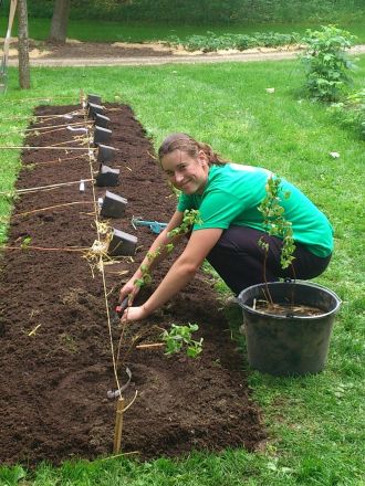 Tereza Erler bei der Ernte