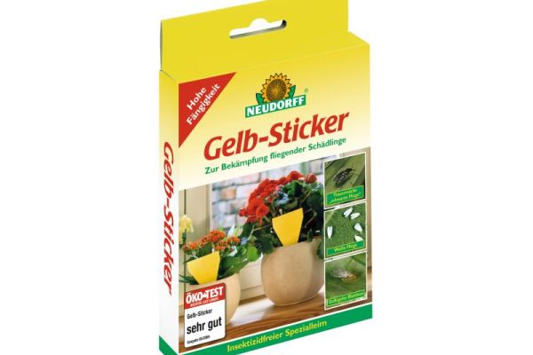 Gelbsticker gegen Trauermücken