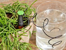 Wasserspender in Planzentopf, in Benutzung