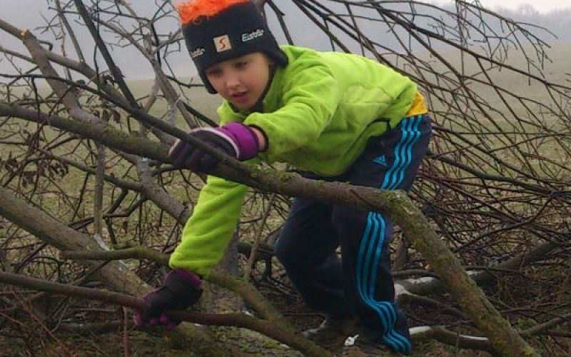 Gartenarbeit oder doch Vergnügen?